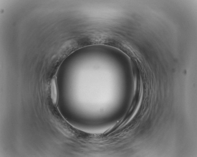 X0000088720601200705311424