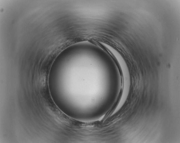 X0000088720602200705311424