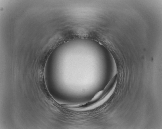X0000088720609200705311424