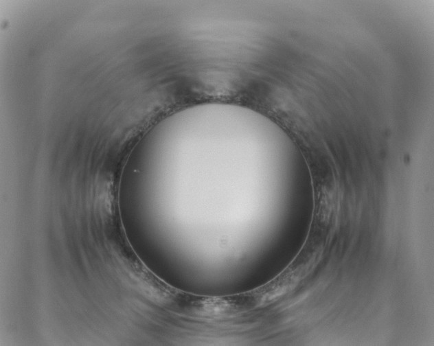 X0000088720612200705311424