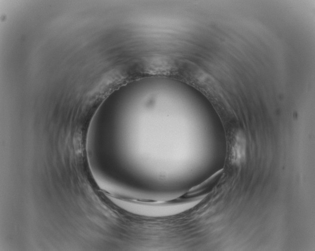 X0000088720620200705311424