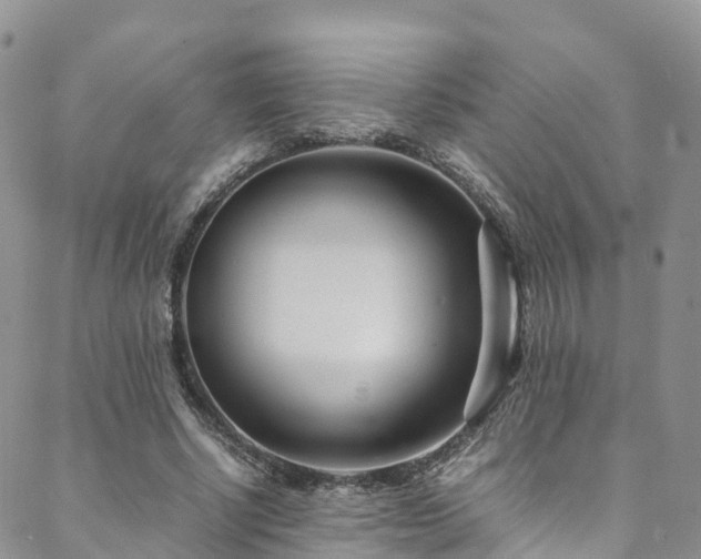 X0000088720634200705311423