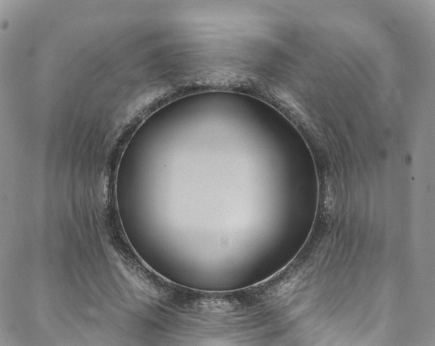 X0000088720636200705311423