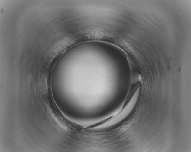 X0000088720638200705311423