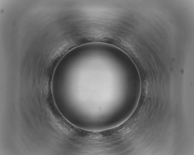 X0000088720642200705311423