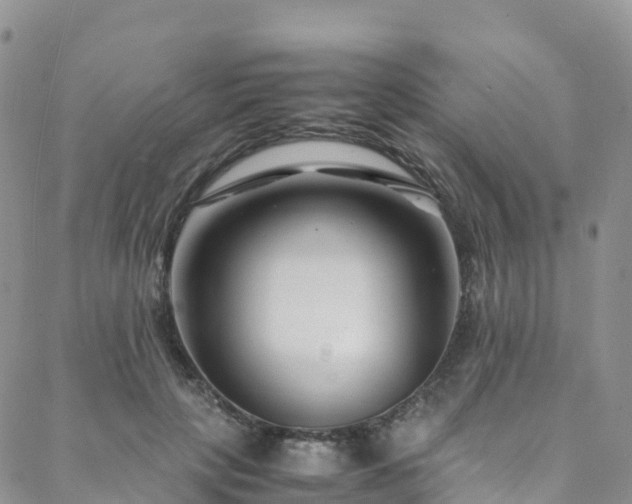 X0000088720649200705311424