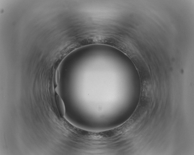X0000088720650200705311424