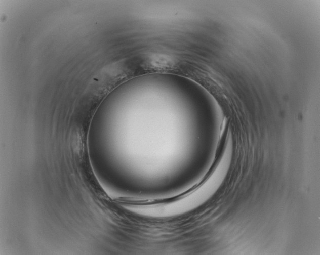 X0000088720651200705311424