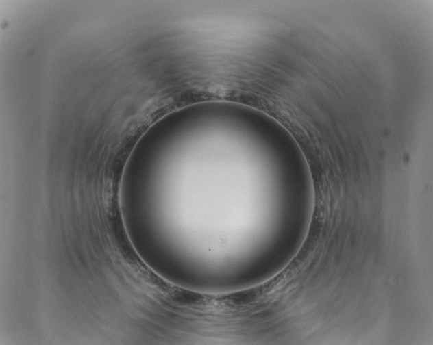 X0000088720656200705311424