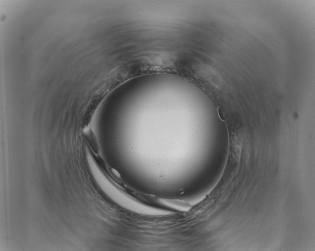 X0000088720657200705311424