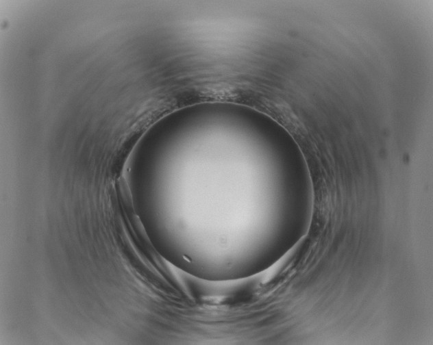 X0000088720658200705311424