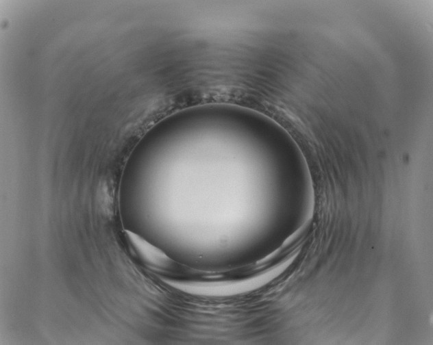 X0000088720661200705311424