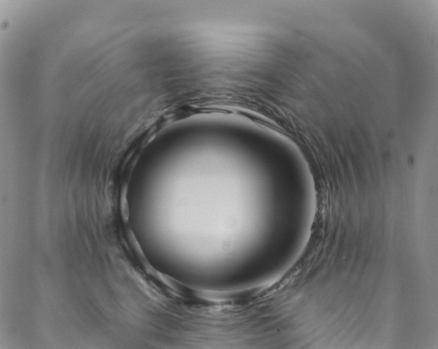 X0000088720664200705311424
