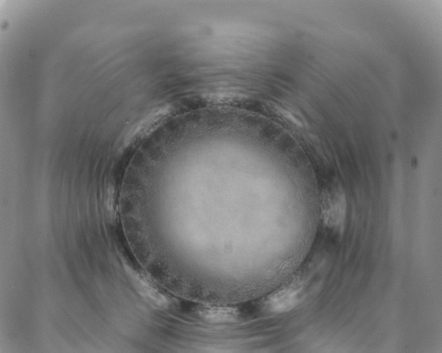 X0000088720670200705311424