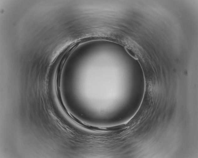 X0000088720676200705311423