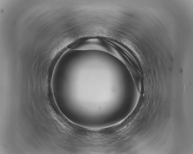 X0000088720677200705311423