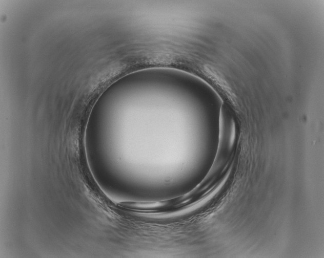 X0000088720681200705311423