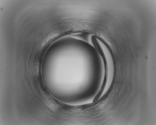 X0000088720685200705311423