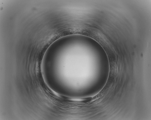 X0000088720700200705311423