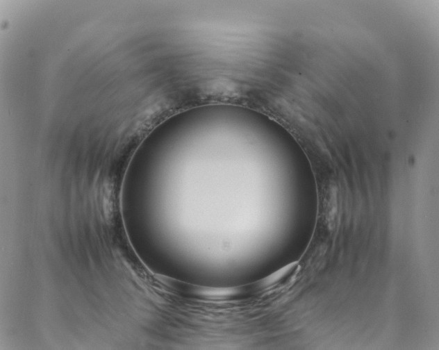 X0000088720708200705311423