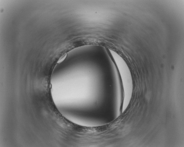 X0000088720715200705311422