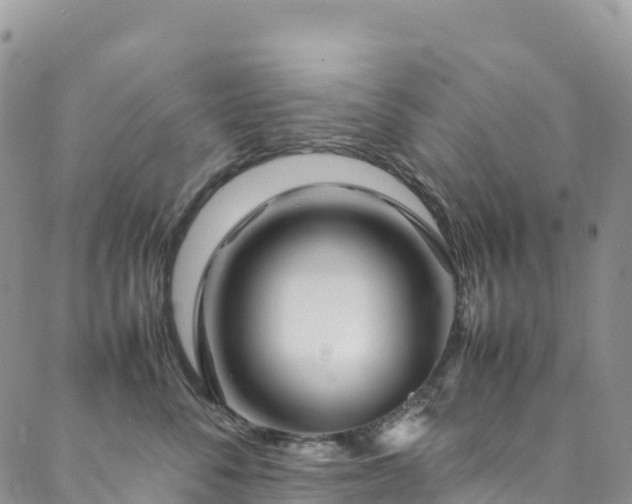 X0000088720716200705311422
