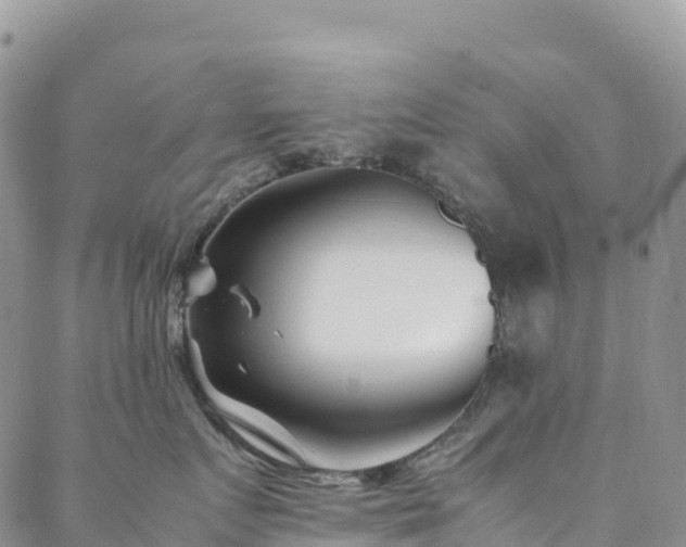 X0000088720719200705311422