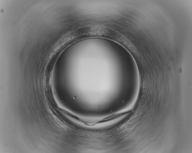 X0000088720722200705311422