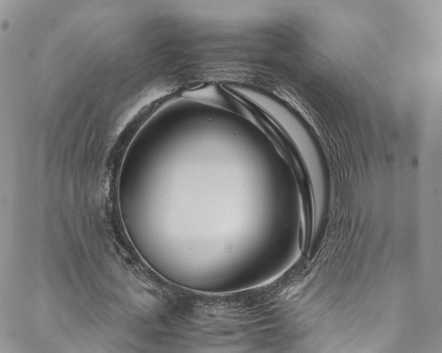 X0000088720723200705311422