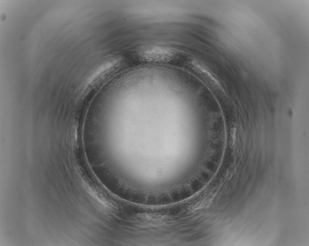 X0000088720733200705311422