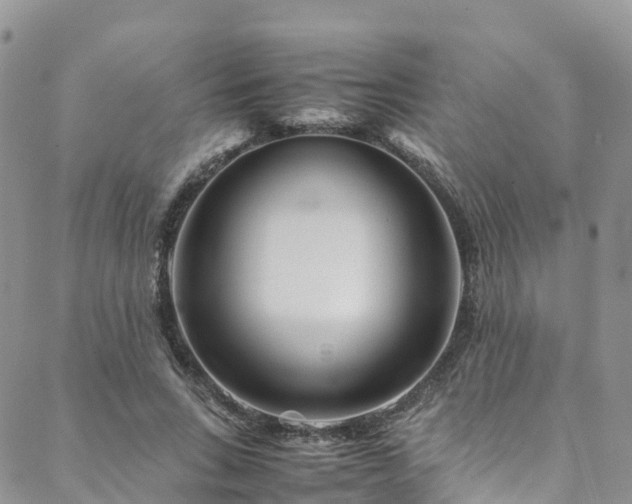 X0000088720735200705311422