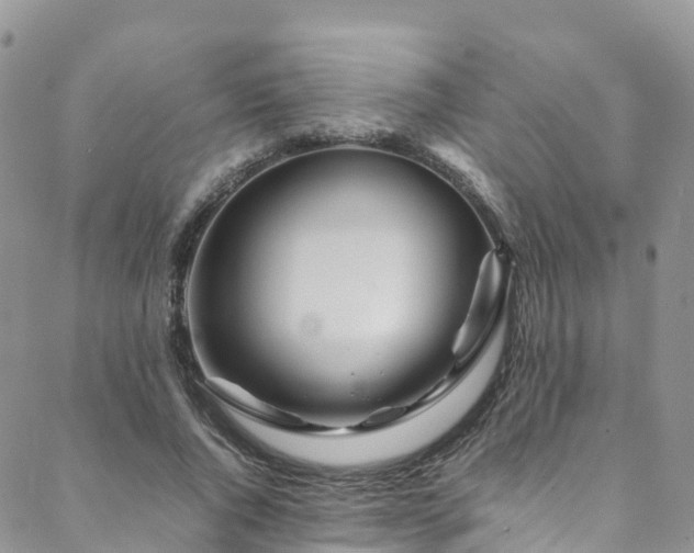 X0000088720736200705311422