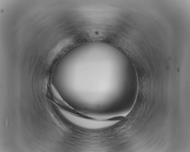 X0000088720742200705311422