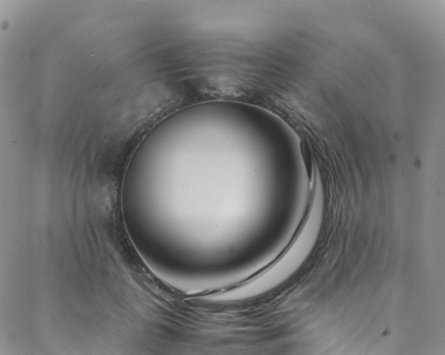 X0000088720747200705311422