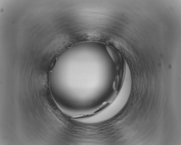 X0000088720748200705311422