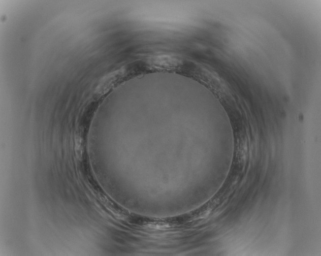 X0000088720749200705311422