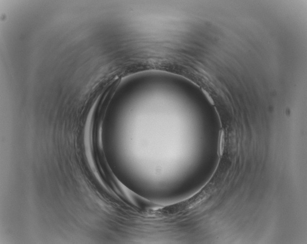 X0000088720750200705311422