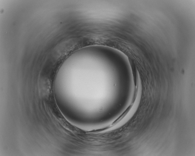 X0000088720752200705311422