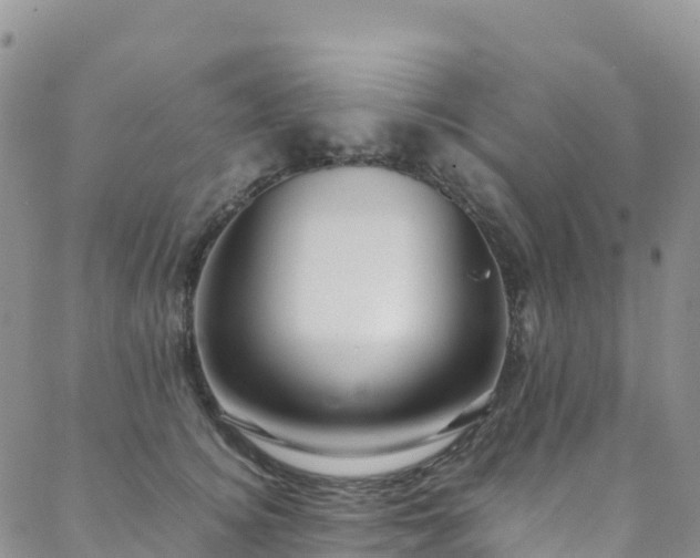 X0000088720756200705311422