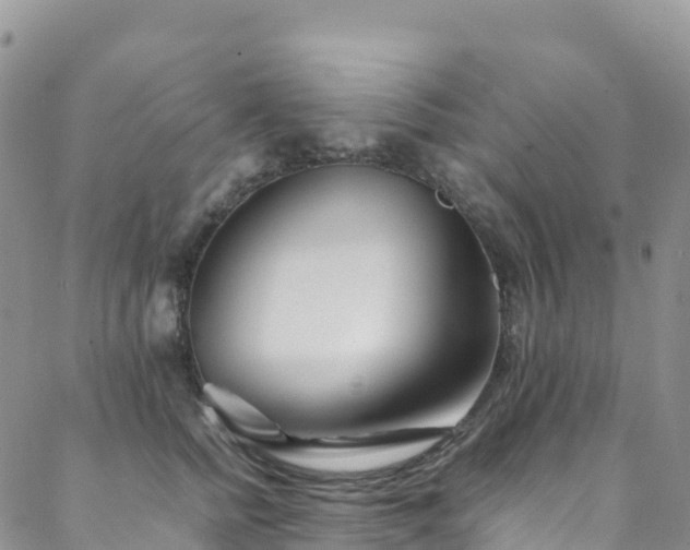X0000088720758200705311422