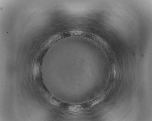 X0000088720761200705311422