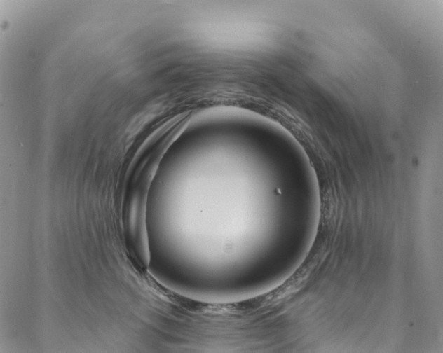 X0000088720762200705311422