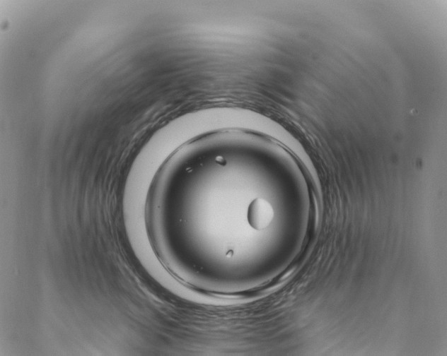 X0000088720764200705311422