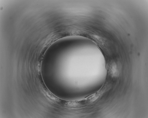 X0000088720766200705311422