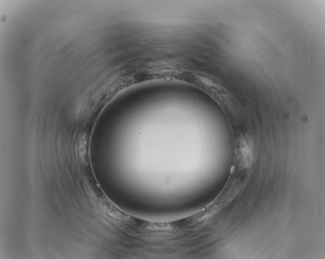 X0000088720767200705311422
