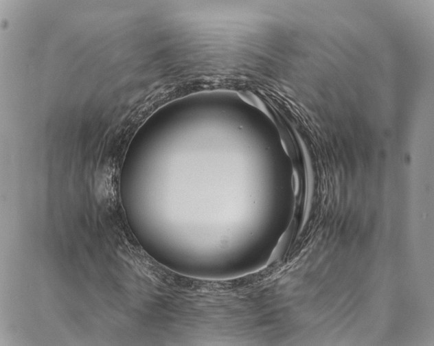 X0000088720770200705311422