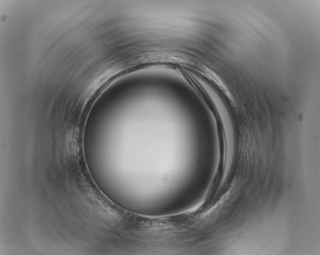 X0000088720786200705311421
