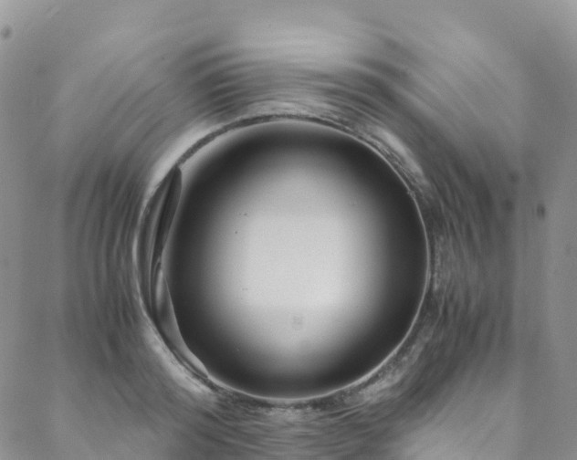 X0000088720796200705311421