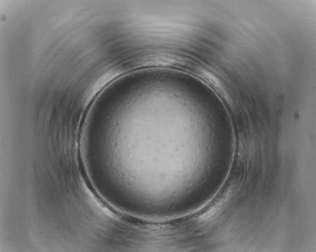 X0000088720802200705311421