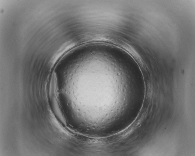 X0000088720806200705311421